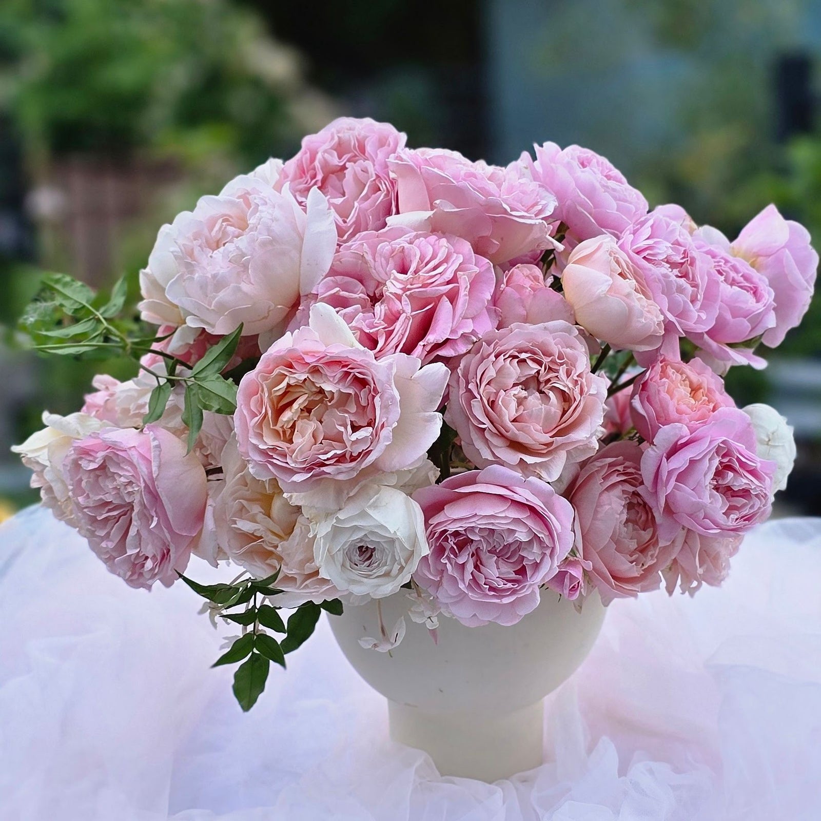 JARDIN Pink garden roses