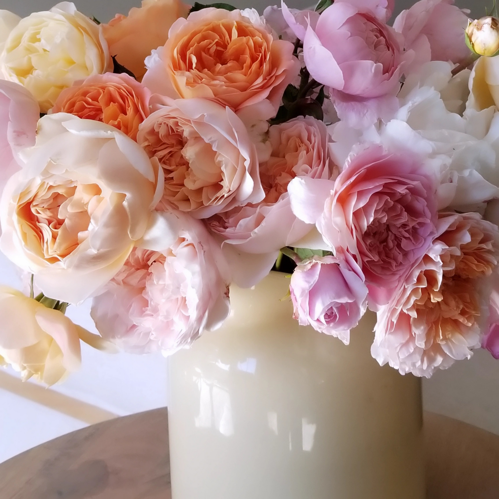 2 Dozen Fragrant Garden Roses