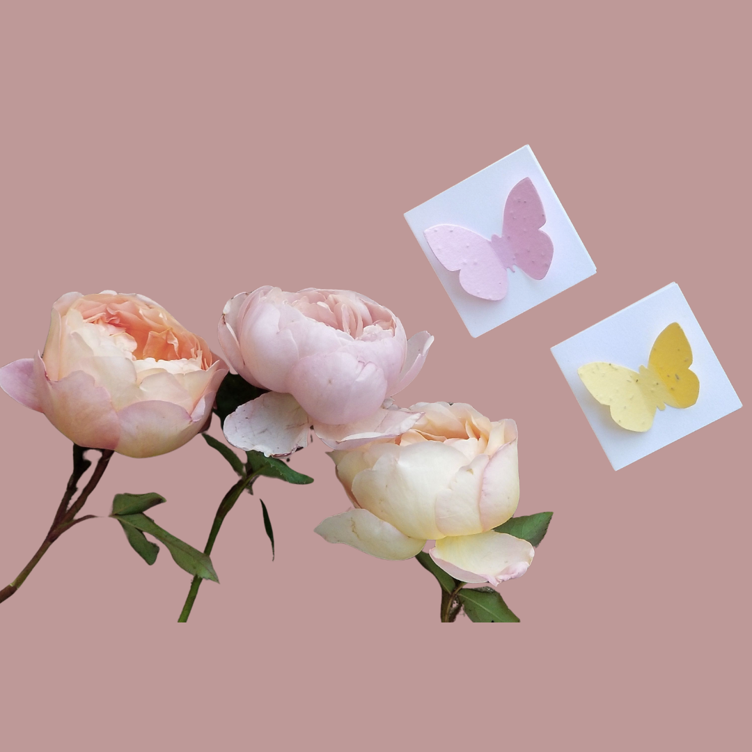 Mini card