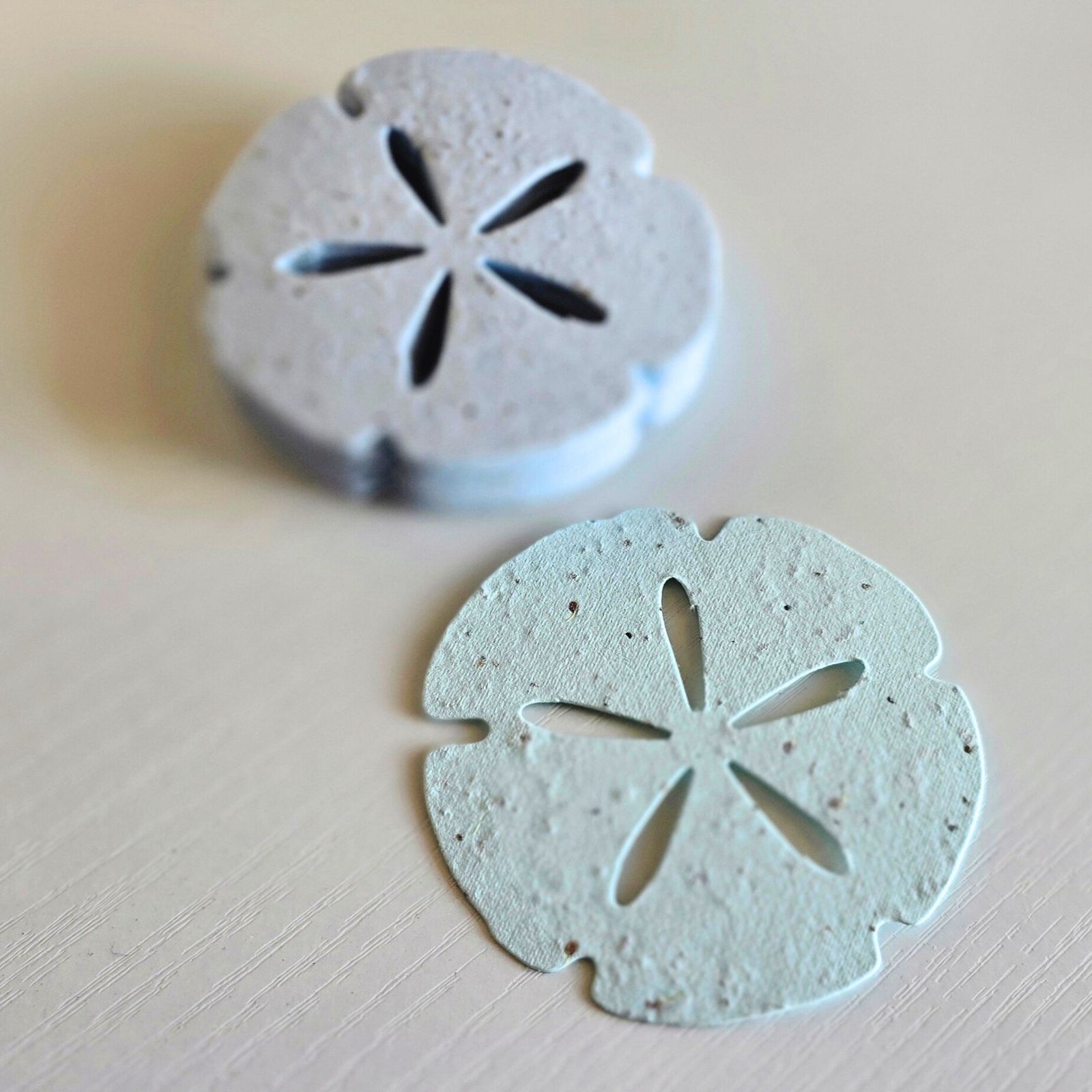 Set of 25 Plantable Sand Dollar