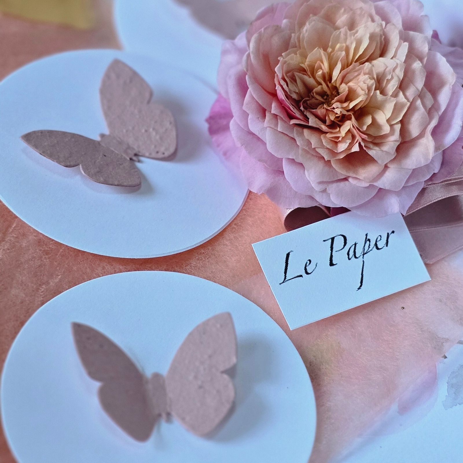 Butterfly Round card